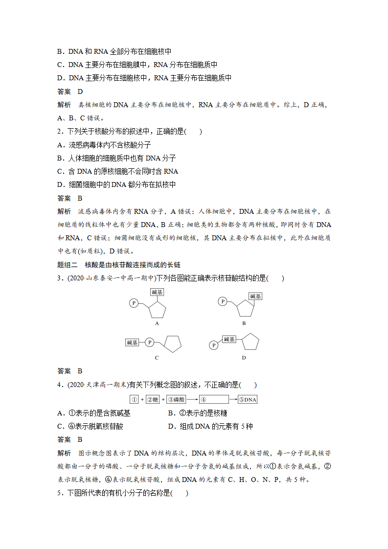 第2章 第5节 核酸是遗传信息的携带者_07.png