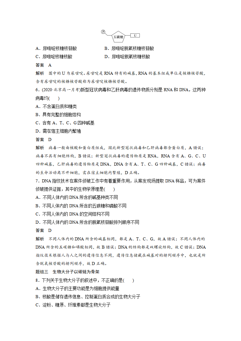 第2章 第5节 核酸是遗传信息的携带者_08.png