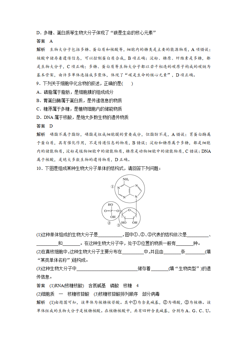 第2章 第5节 核酸是遗传信息的携带者_09.png