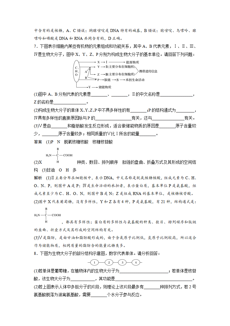 第2章 第5节 核酸是遗传信息的携带者_12.png