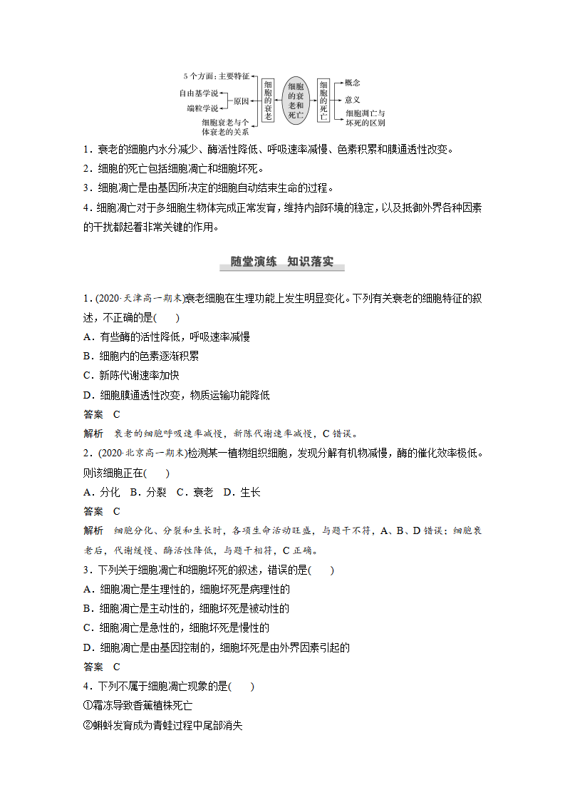 第6章 第3节 细胞的衰老和死亡_04.png