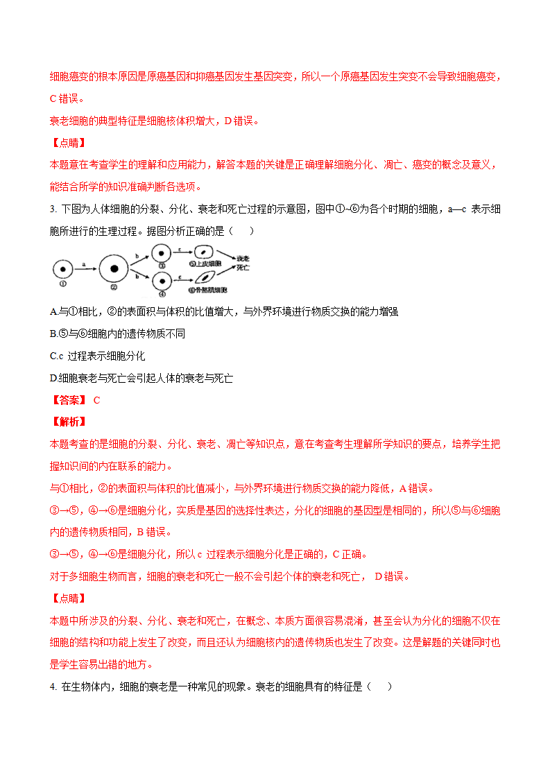 6.3 细胞的衰老和死亡（分层练）-2022-2023学年高一生物同步精品课堂（人教版2019必修1）（解析版）_02.png