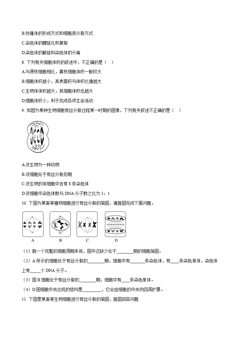 6.1 细胞的增殖（分层练）-2022-2023学年高一生物同步精品课堂（人教版2019必修1）（原卷版）_03.png