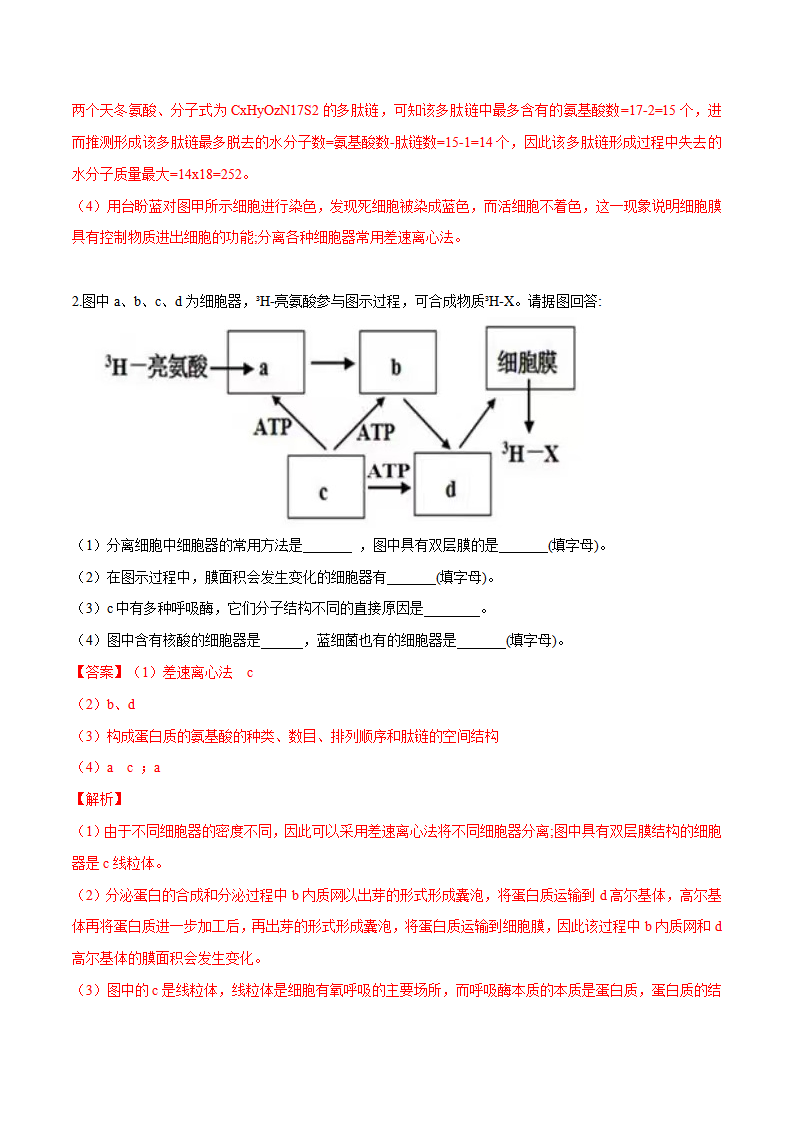3.2 细胞器之间的分工合作（分层练）-2022-2023学年高一生物同步精品课堂（人教版2019必修1）（解析版）_09.png
