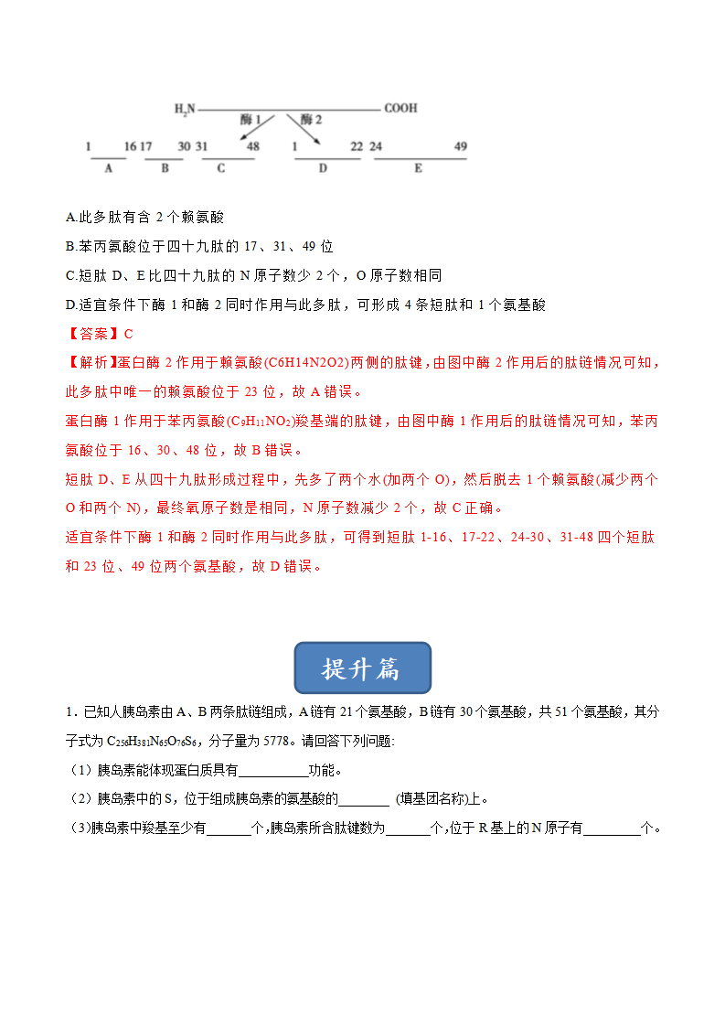 2.4 蛋白质是生命活动的主要承担者（分层练）-2022-2023学年高一生物同步精品课堂（人教版2019必修1）（解析版）_05.png