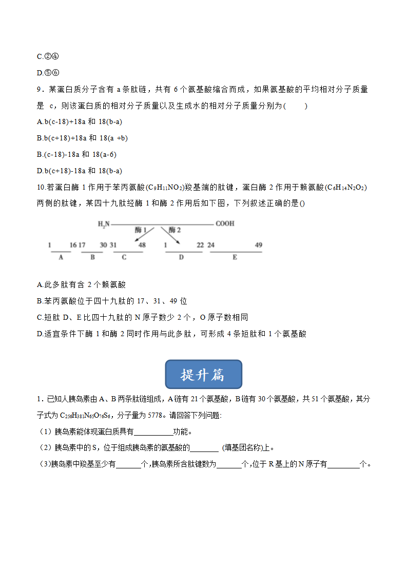 2.4 蛋白质是生命活动的主要承担者（分层练）-2022-2023学年高一生物同步精品课堂（人教版2019必修1）（原卷版）_03.png