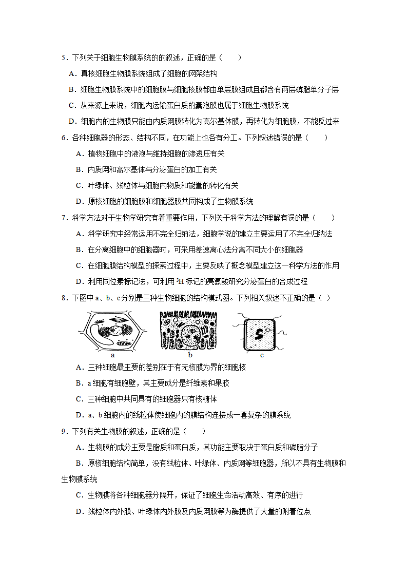 3.2 细胞器之间的分工合作（第2课时）（解析版）_04.png