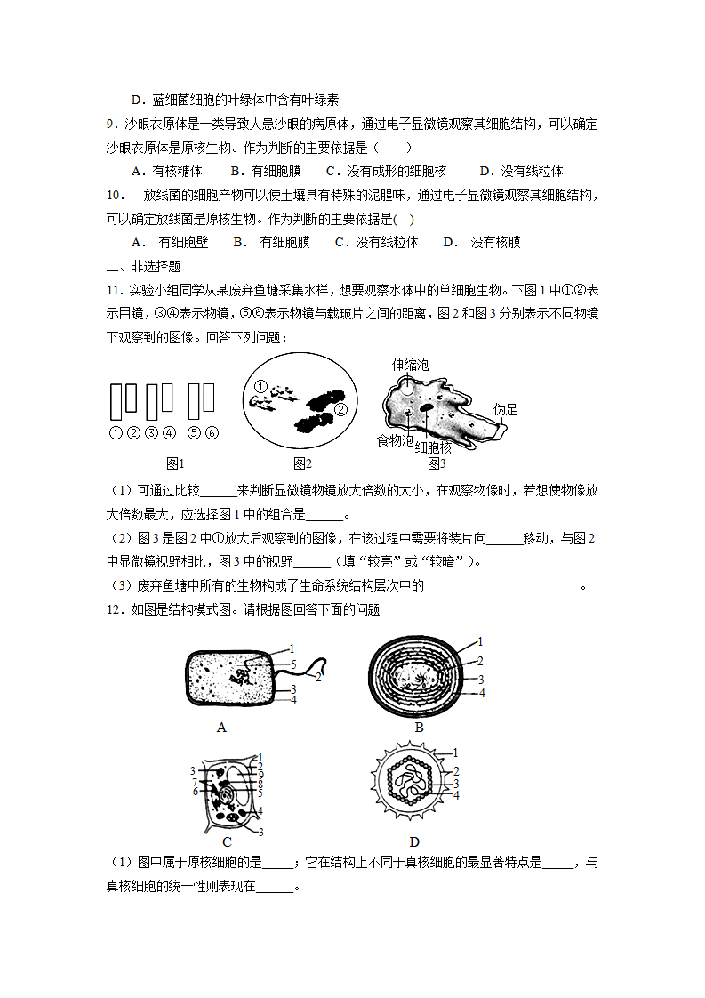 1.2 细胞的多样性和统一性导学案（原卷版）_05.png