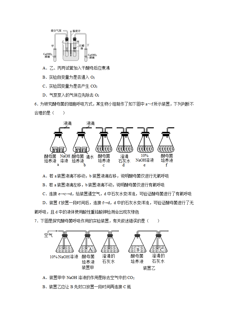 第3节 细胞呼吸的原理和应用（第一课时）（原卷版）_03.png