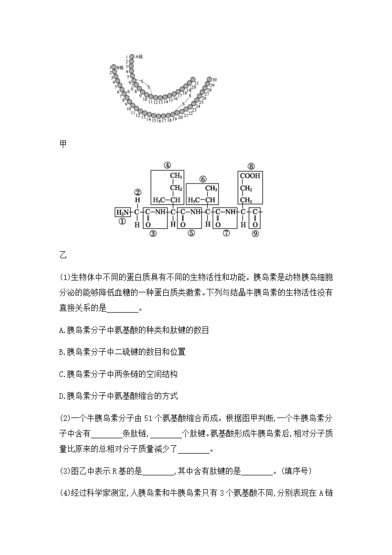 2.4 蛋白质是生命活动的主要承担者 练习【新教材】人教版（2019）高中生物必修一_06.png