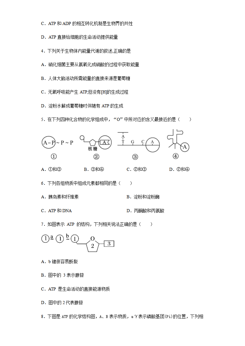 5.2 细胞的能量“货币”——ATP 练习 【新教材】人教版（2019）高中生物必修一_02.png