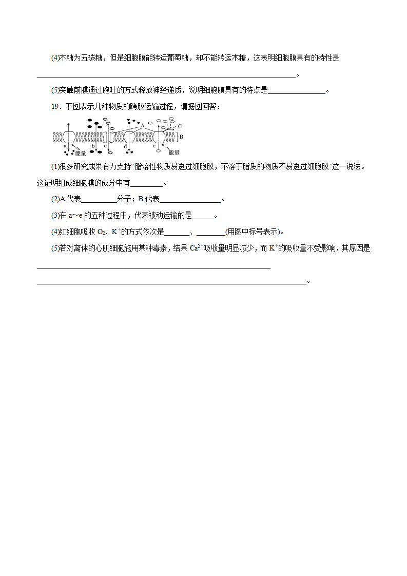 第04章 细胞的物质输入和输出（B卷）（原卷版）_07.png