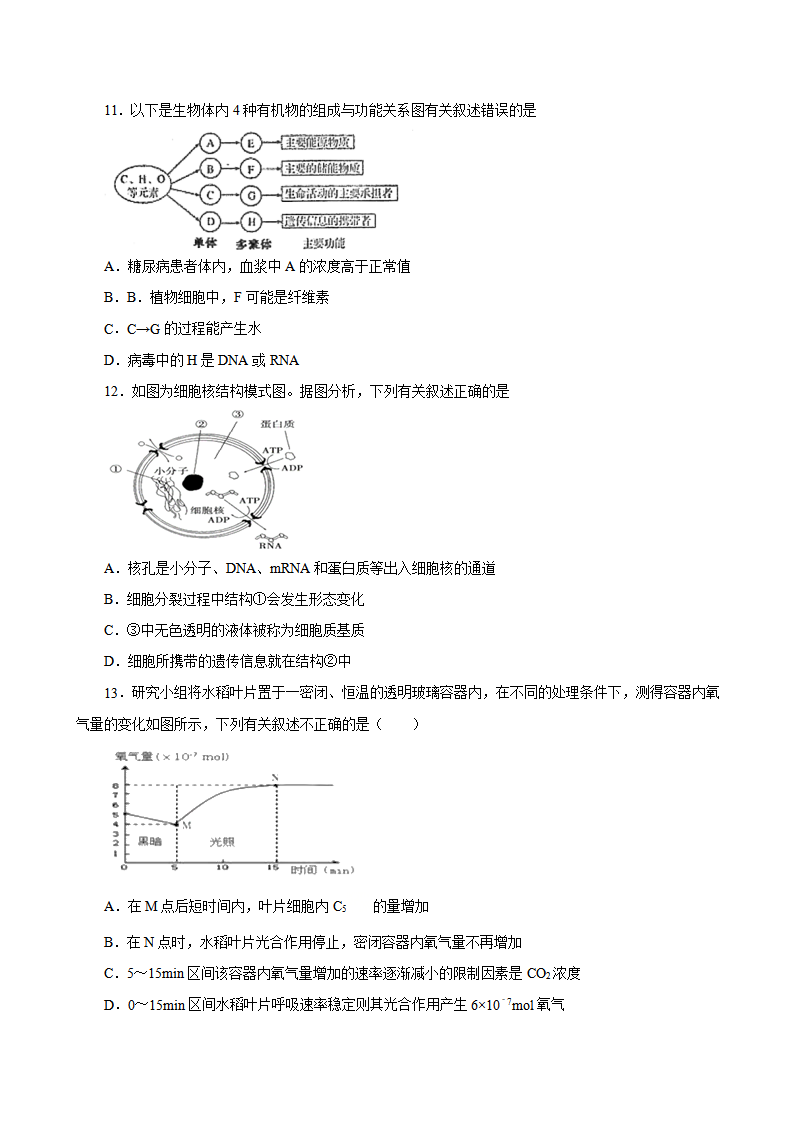 2019人教版必修1期末（A卷 基础过关检测）-2021年高考生物一轮复习单元滚动双测卷（新高考地区专用）（原卷版）_03.png