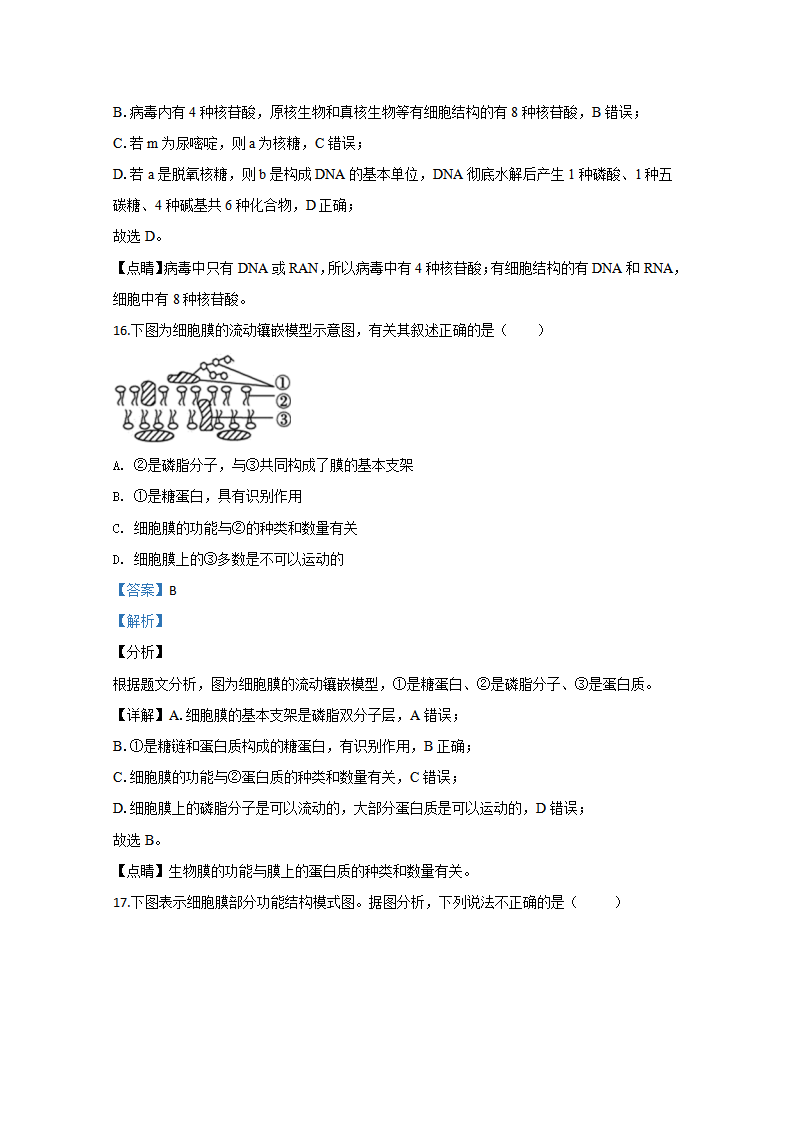 2019-2020学年天津市一中高一上学期期中考试生物试题 Word版含解析_10.png