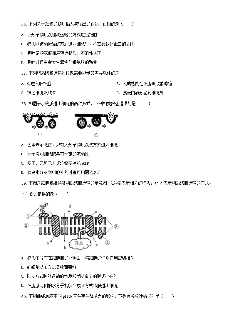 精品解析：辽宁省朝阳市建平县实验中学2020-2021学年高一上学期期末生物试题（原卷版）_09.png