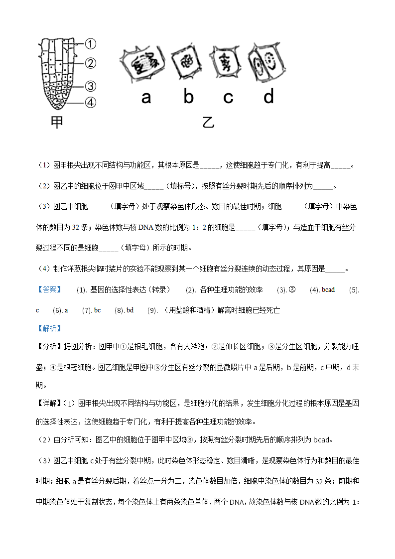 精品解析：辽宁省大连市2020-2021学年高一上学期期末生物学试题（解析版）_32.png