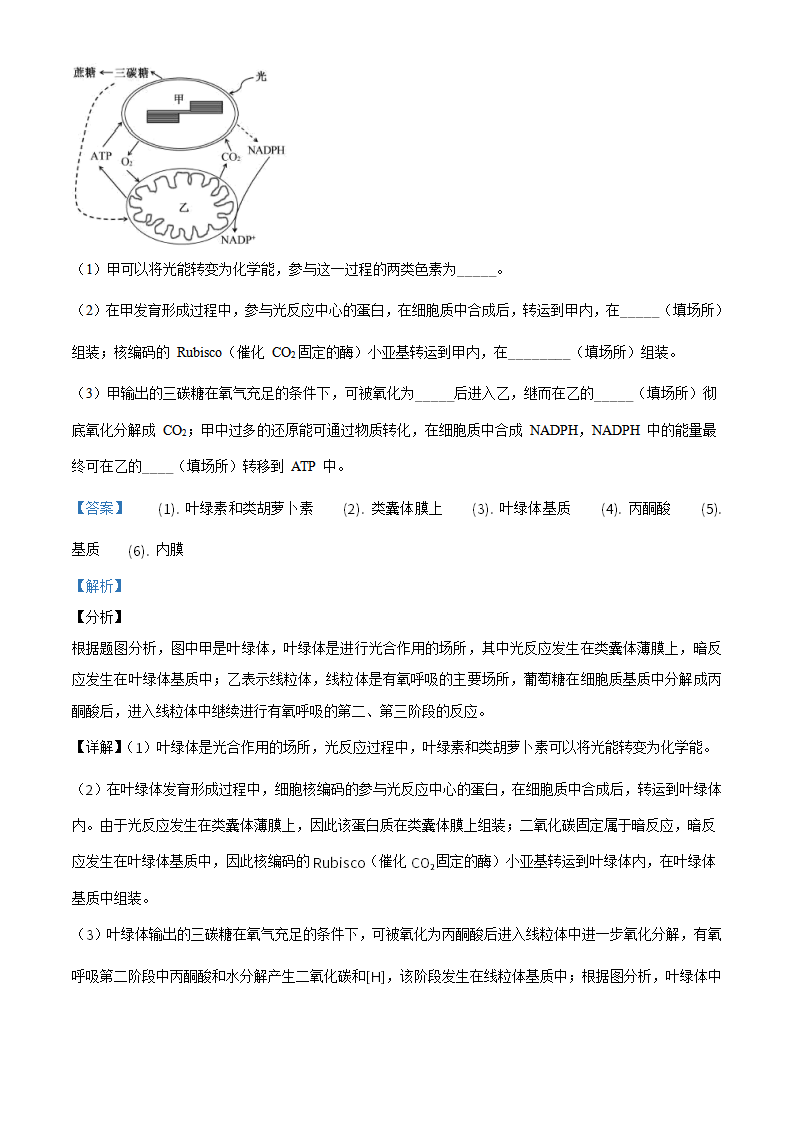 精品解析：江苏省南京市南京师大附中2020-2021学年高一上学期期末生物试题（解析版）_34.png