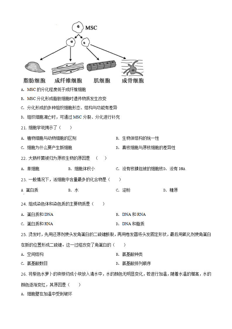 精品解析：北京市东城区2020-2021学年高一上学期期末生物试题（原卷版）_05.png