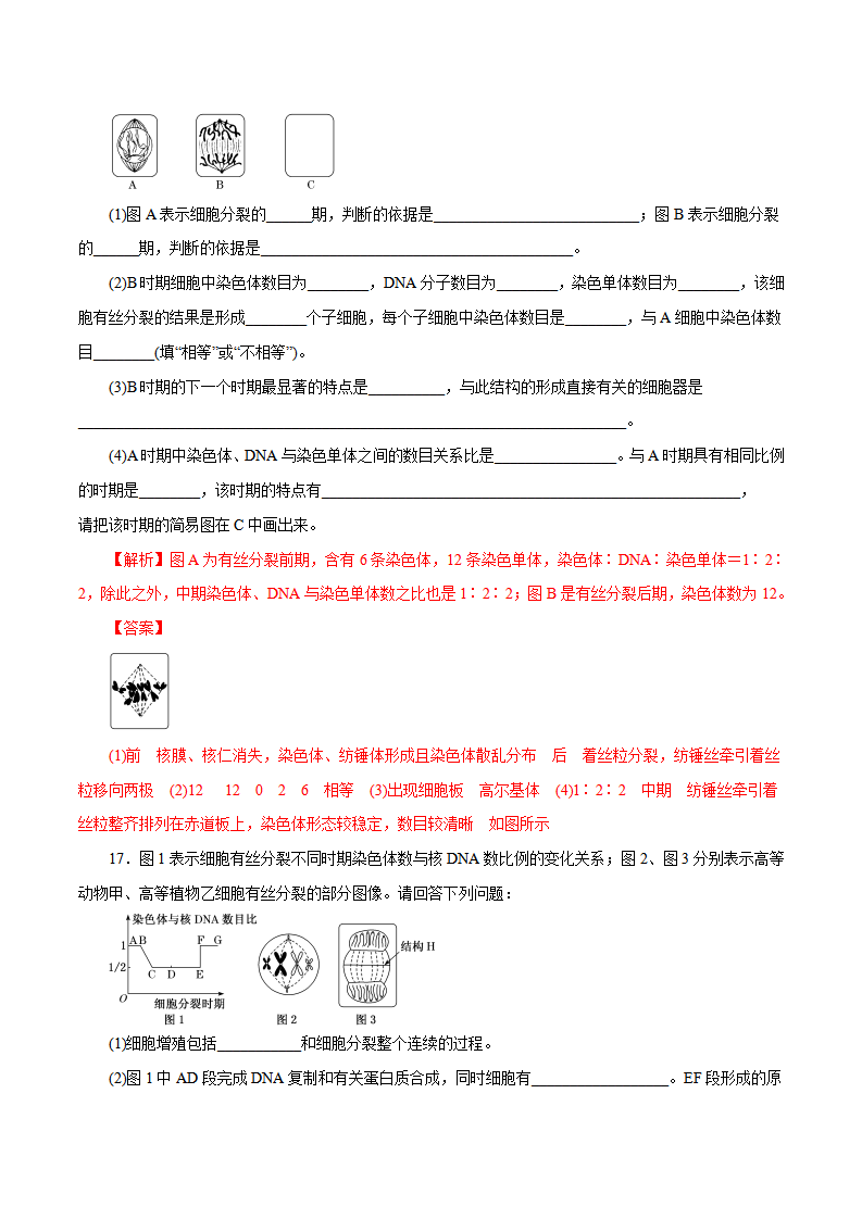 第6章 细胞的生命历程B卷（解析版）_08.png