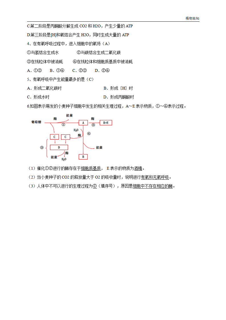 5.3 细胞呼吸的原理和应用 教学设计（1）_06.png