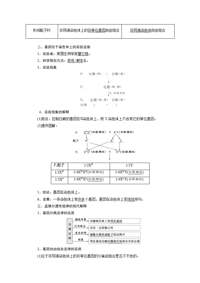 第2章 基因和染色体的关系-知识点总结-2021-2022学年高中生物【新教材】人教版 必修2_12.png