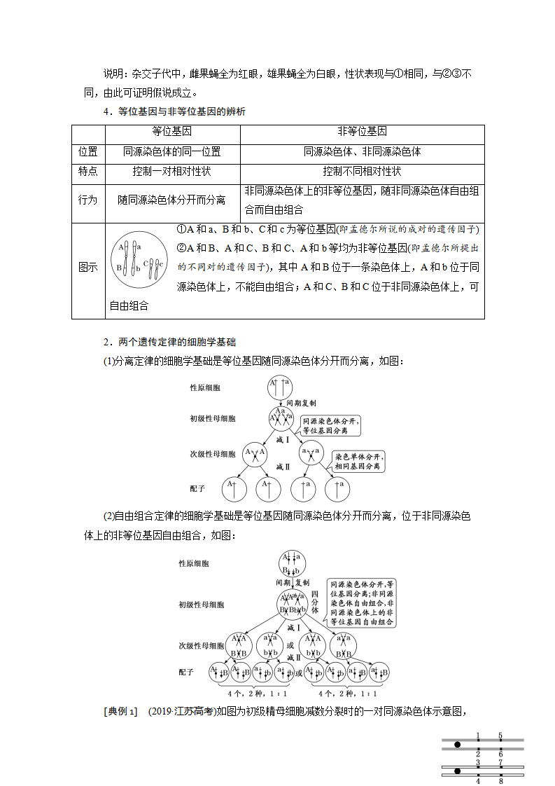 第2章 基因和染色体的关系-知识点总结-2021-2022学年高中生物【新教材】人教版 必修2_15.png