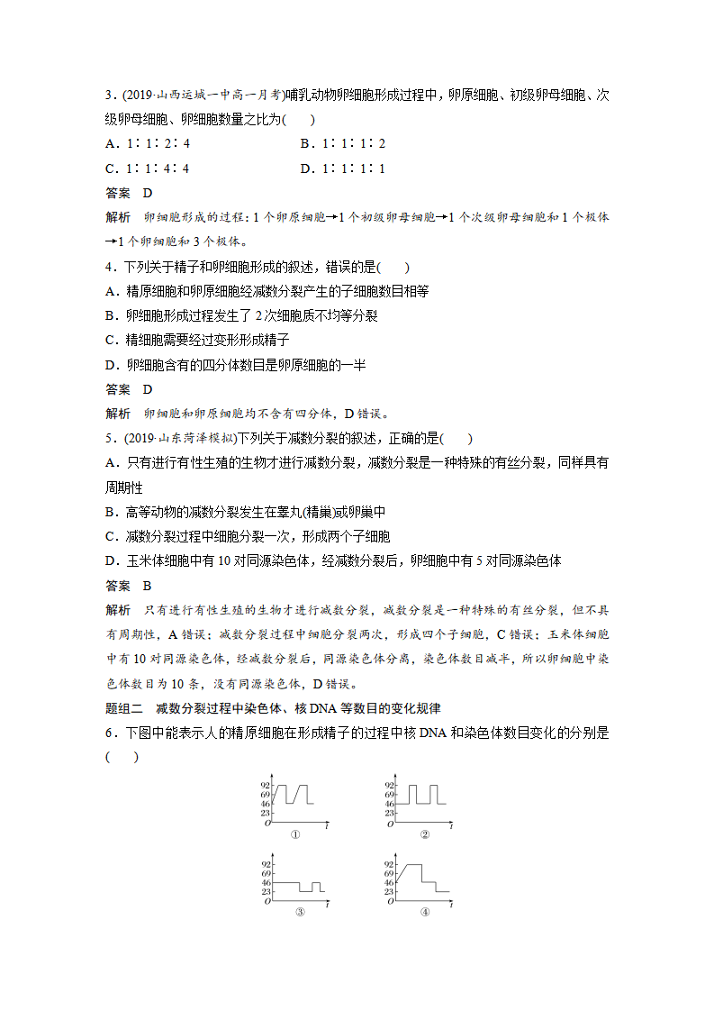 第2章 第1节 第2课时　卵细胞的形成过程、减数分裂过程中染色体、核DNA等数目变化规律及有丝分裂与减数分裂图像辨析_08.png