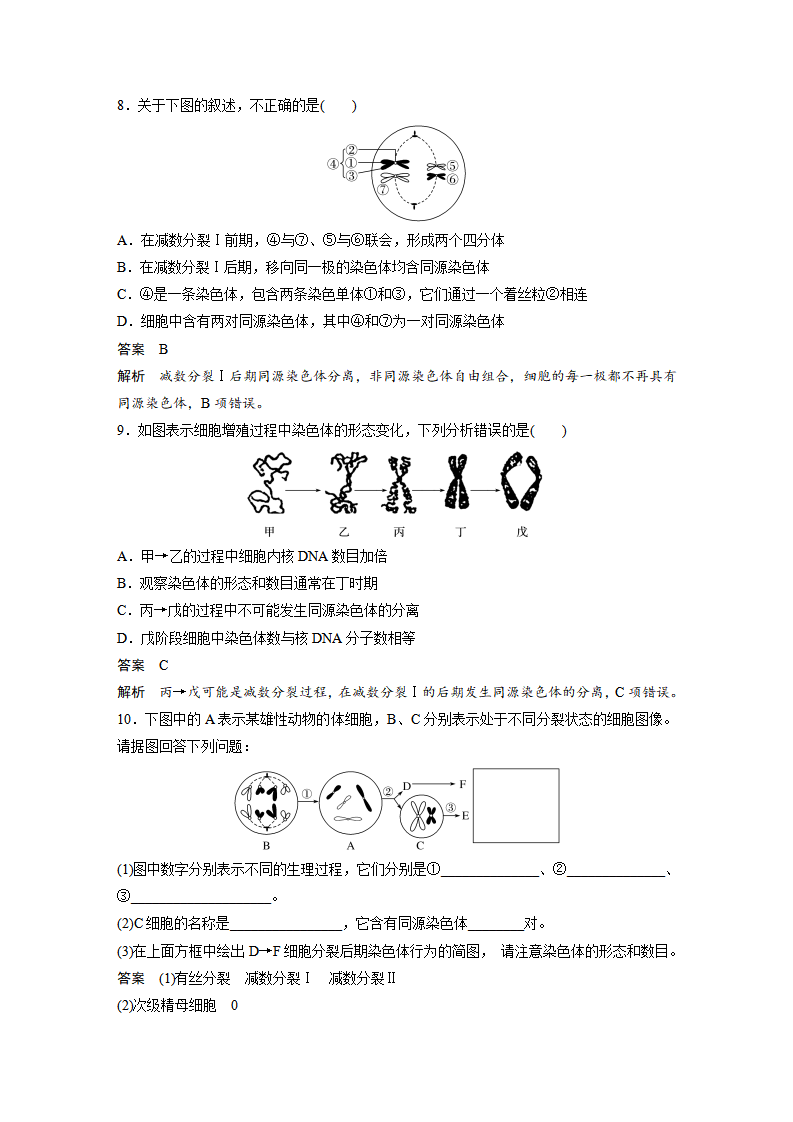 第2章 第1节 第1课时　减数分裂的相关概念、精子的形成过程_08.png
