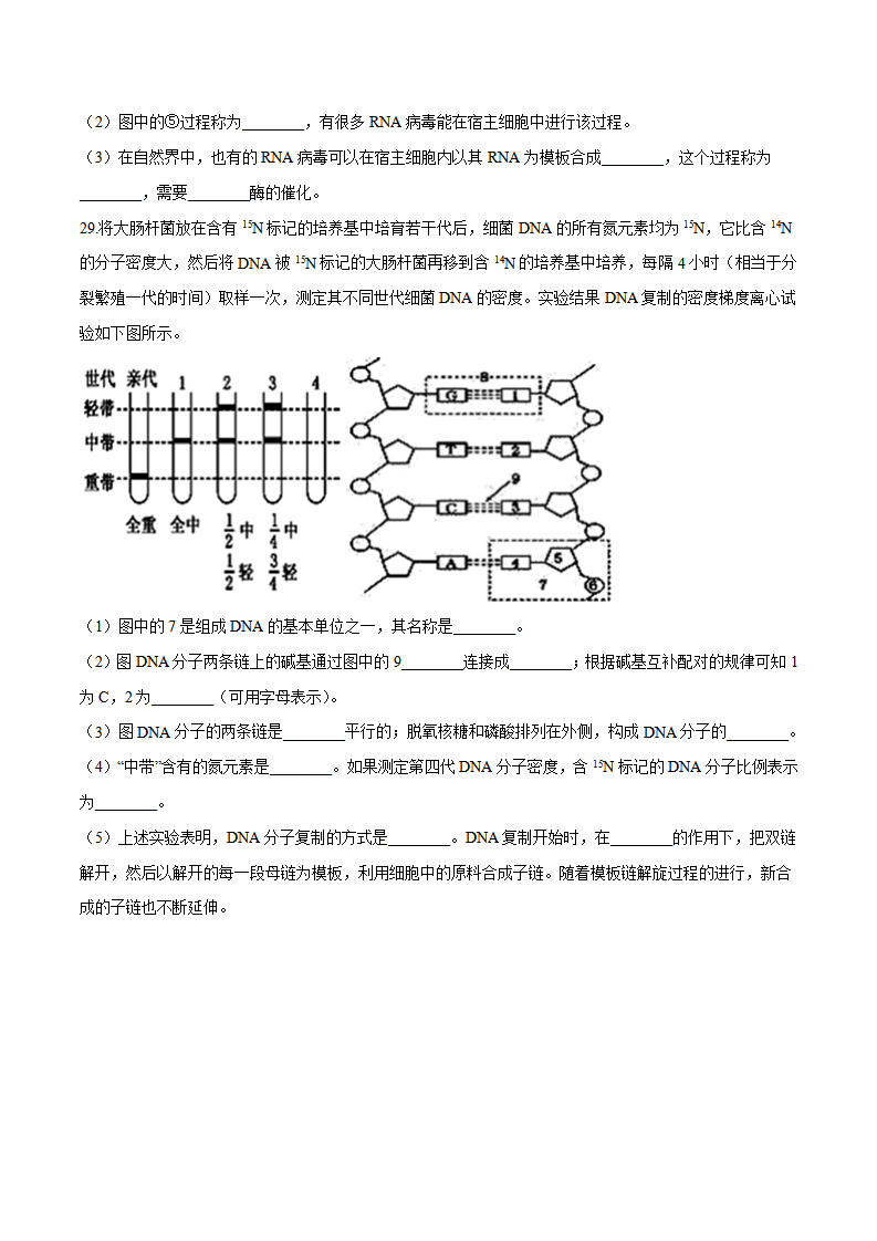 2020-2021学年高一生物下学期期中测试卷01（人教版2019选择性必修2）（原卷版）_08.png