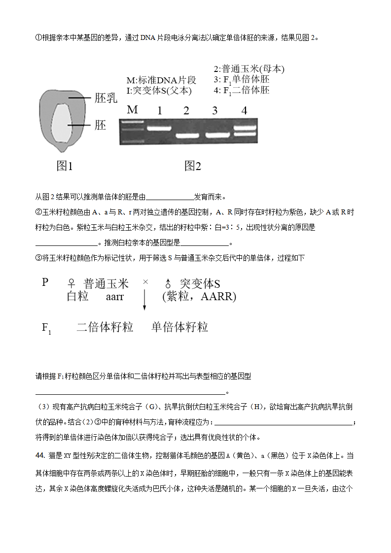 精品解析：辽宁省大连市瓦房店市高级中学2019-2020学年高一下学期期末生物试题（原卷版）_14.png