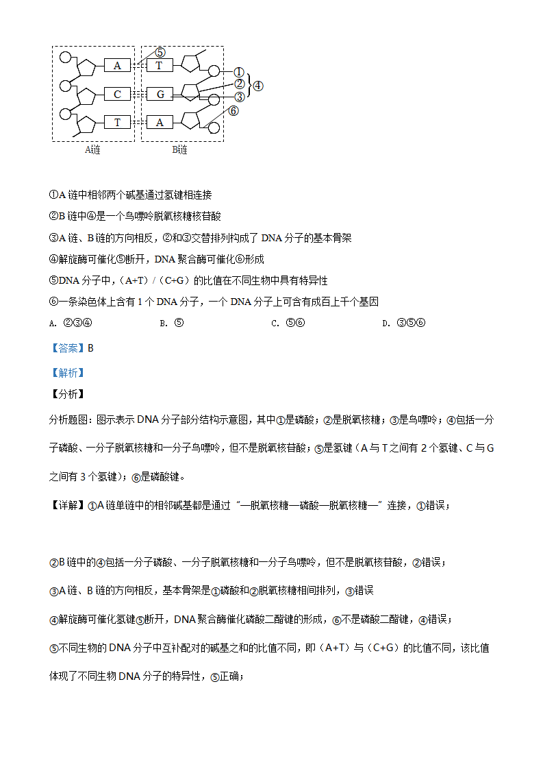精品解析：辽宁省多校联盟2019-2020学年高一下学期期末生物试题（解析版）_10.png