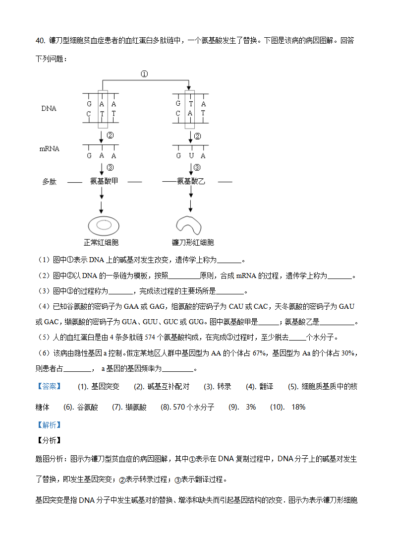 精品解析：北京延庆区一中2019-2020学年高一下学期期末生物试题（解析版）_30.png