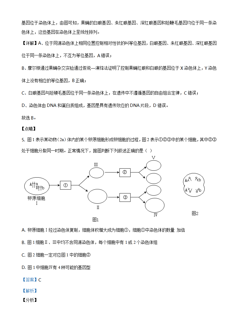 精品解析：山东省烟台市2019-2020学年高一下学期期末生物试题（解析版）_04.png