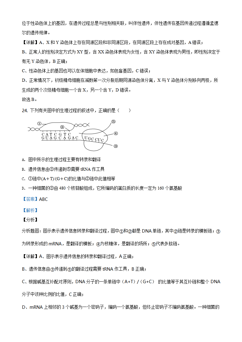 精品解析：山东省潍坊市安丘市实验中学2019—2020高一下学期期末生物试题（解析版）_17.png