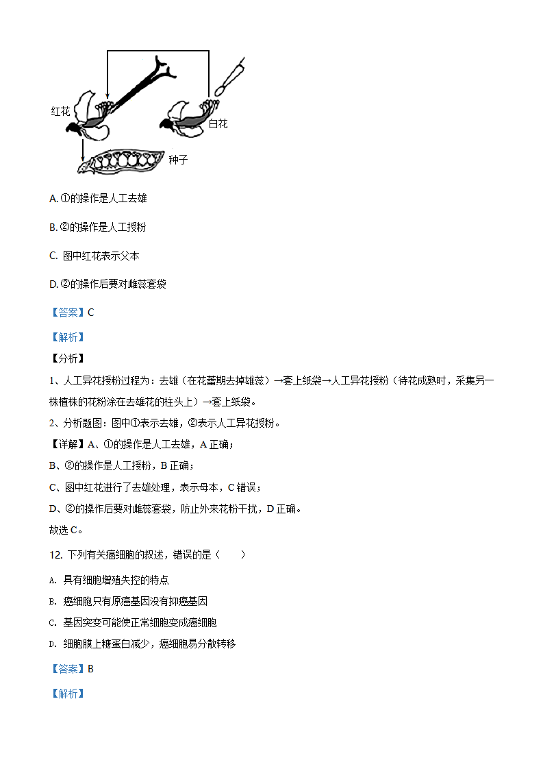 精品解析：天津市部分区2019-2020学年高一下学期期末生物试题（解析版）_07.png