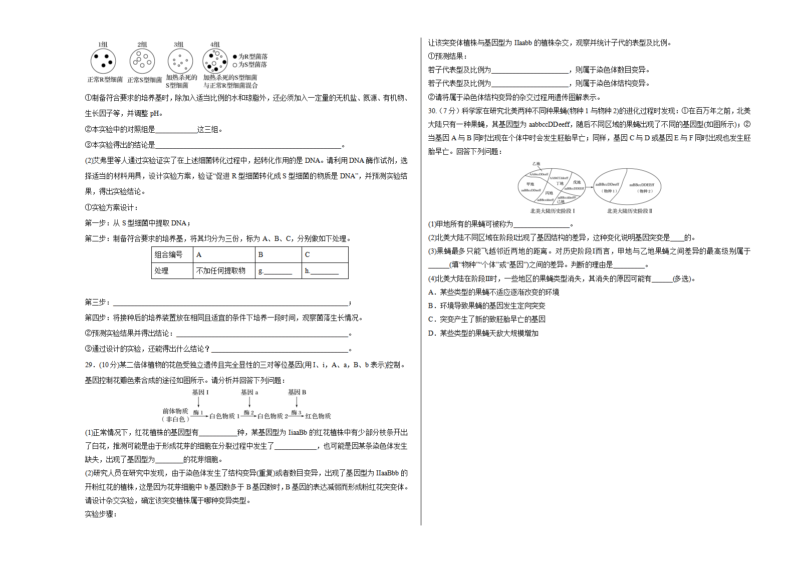 学易金卷：2020-2021学年高一生物下学期期末测试卷（人教版2019必修2）03（考试版）_05.png