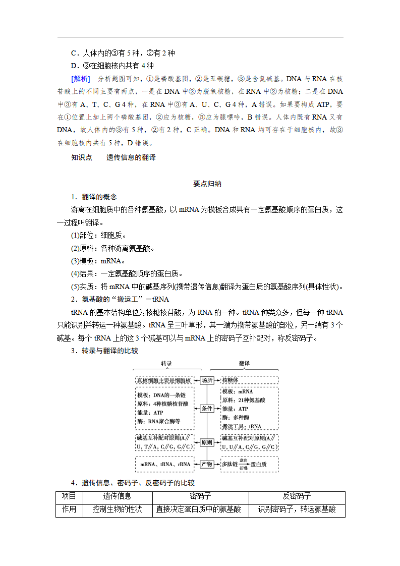 新教材2020-2021学年高中生物人教版必修2学案：第4章 第1节　基因指导蛋白质的合成_06.png