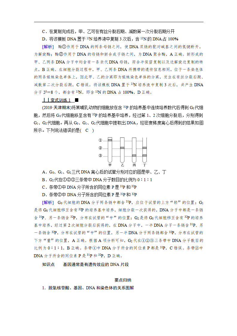 新教材2020-2021学年高中生物人教版必修2学案：第3章 第3节　DNA的复制 第4节　基因通常是有遗传效应的DNA片段_05.png