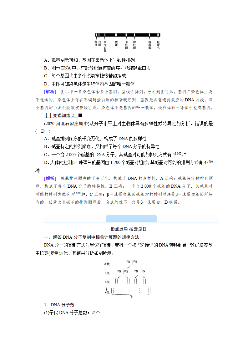 新教材2020-2021学年高中生物人教版必修2学案：第3章 第3节　DNA的复制 第4节　基因通常是有遗传效应的DNA片段_07.png