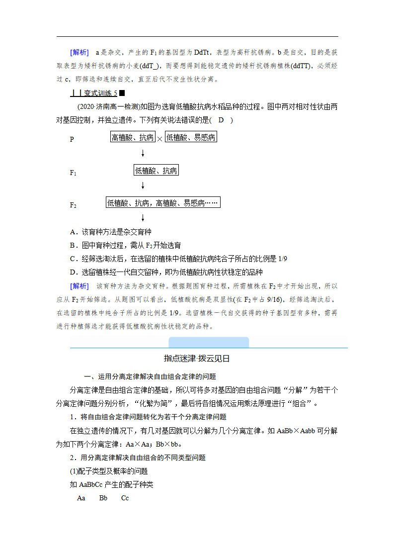 新教材2020-2021学年高中生物人教版必修2学案：第1章 第2节　孟德尔的豌豆杂交实验（二）_12.png