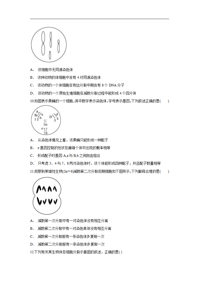 【新教材精创】2.1.1 减数分裂与受精作用 练习（1）（原卷版）_03.png