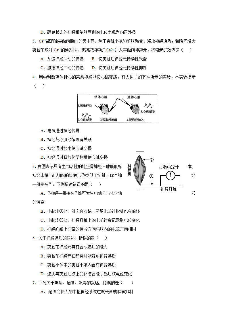 2.3 神经冲动的产生和传导导学案（课时2）（原卷版）_03.png