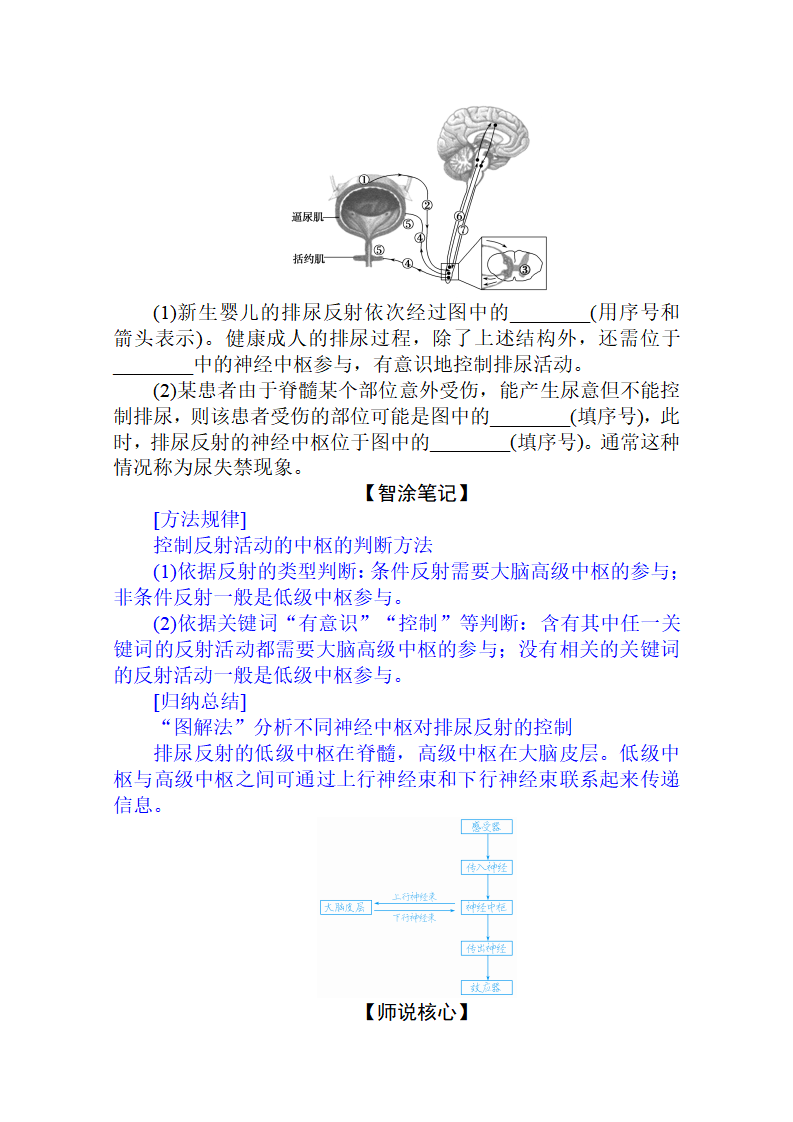 新教材2020-2021学年生物选择性必修1讲义：2.4 神经系统的分级调节_07.png
