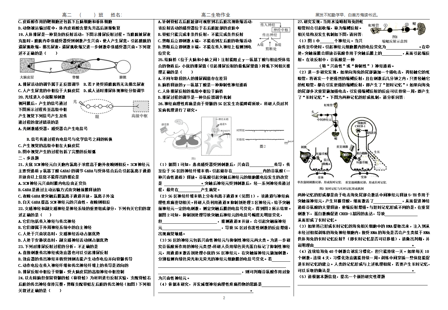 人教版生物选择性必修一第二章 神经调节  单元检测_02.png