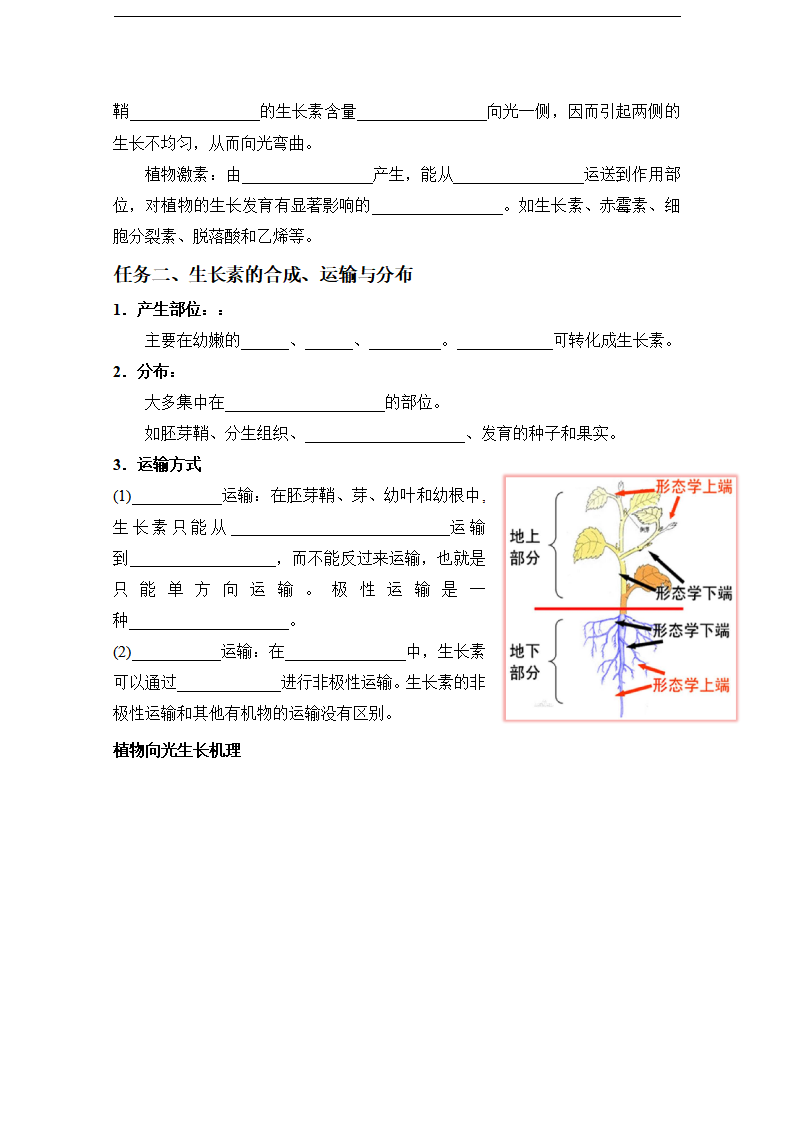 5.1.1 植物生长激素（导学案）-2020-2021学年上学期高二生物学同步精品课堂（新教材人教版选择性必修1）_04.png