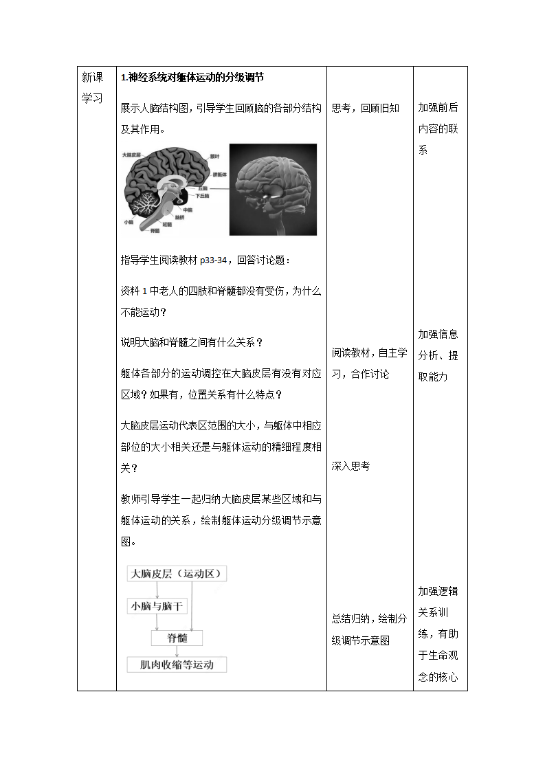 2.4《神经系统的分级调节》教案【新教材】人教版（2019）高中生物选择性必修一_02.png