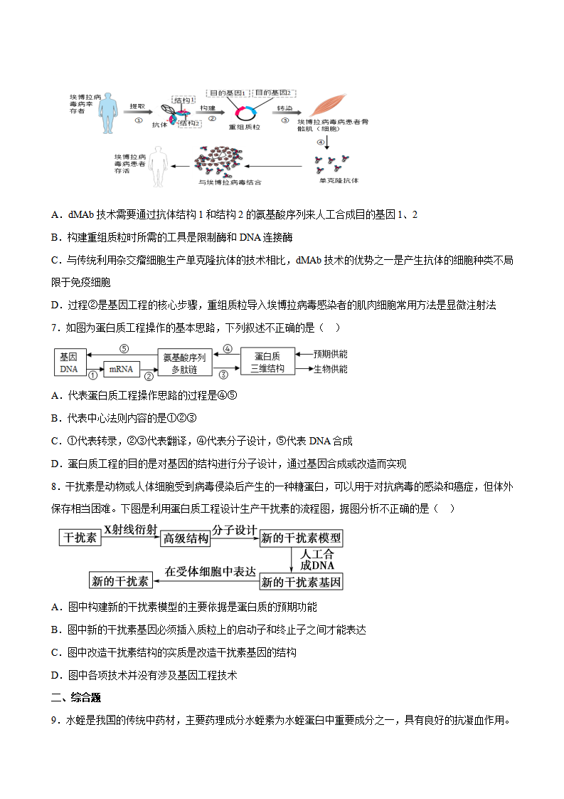 第3章第3节 基因工程的应用和蛋白质工程（分层练）-2022-2023学年高二生物备课无忧（人教版2019选择性必修3）（原卷版）_07.png