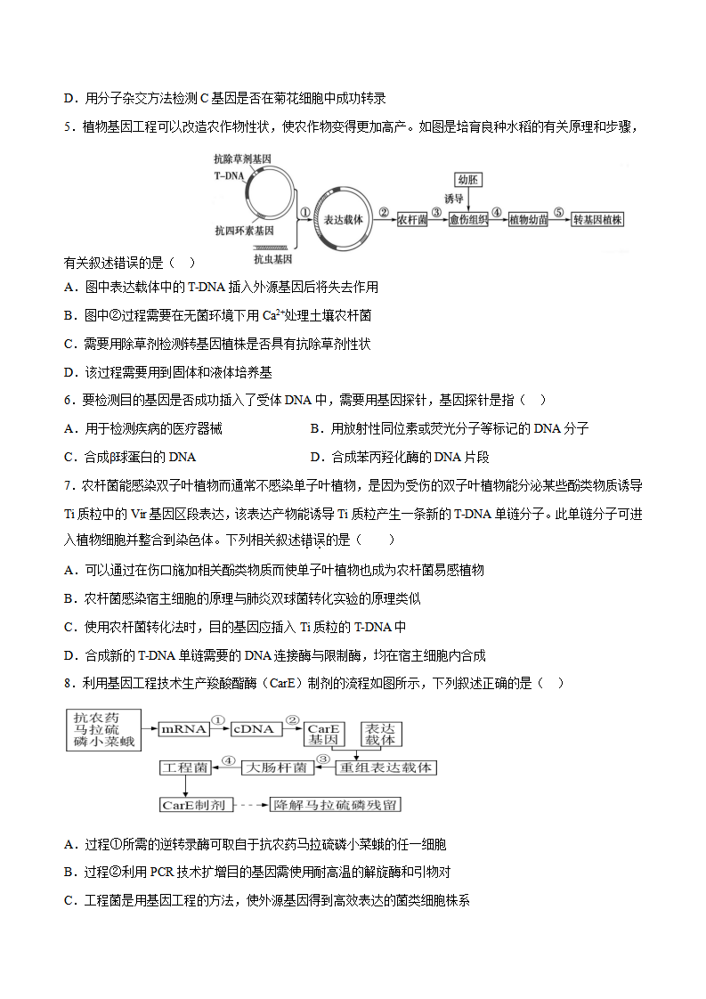 第3章第2节 基因工程的基本操作程序（分层练）-2022-2023学年高二生物备课无忧（人教版2019选择性必修3）（原卷版）_02.png