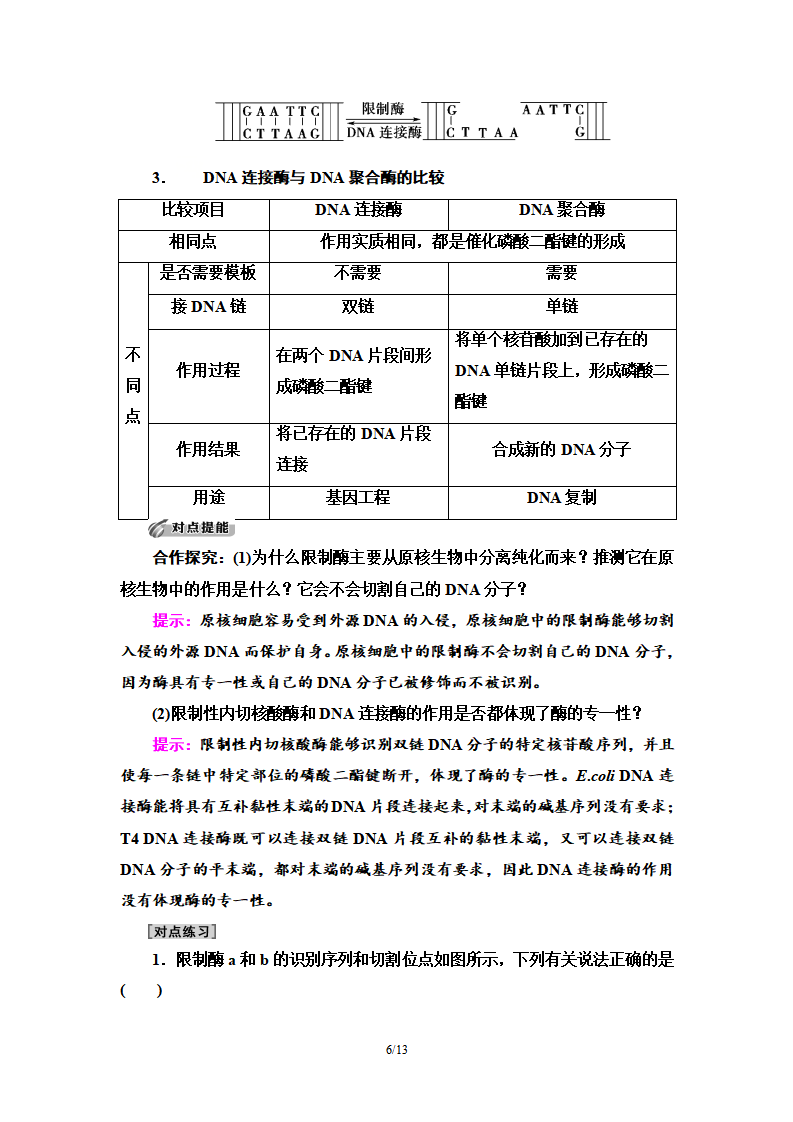 第3章 第1节 重组DNA技术的基本工具 讲义【新教材】人教版（2019）高中生物选择性必修3_06.png