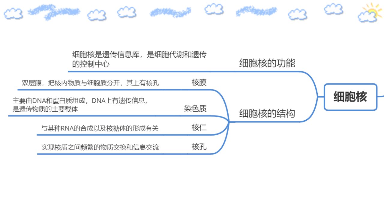 第三章 细胞的基本结构 复习 课件【新教材】人教版（2019）高中生物必修一（思维导图）_05.png